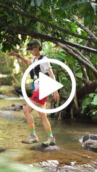 BIB:  <button type="button" onclick="openModal(27825074)" class="btn btn-primary btn-sm float-right" data-toggle="modal" data-target=".modal-high-quality">
                <i class="fa fa-download"></i> Download
                </button>